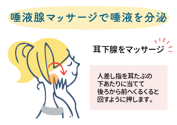 耳下腺のマッサージ
