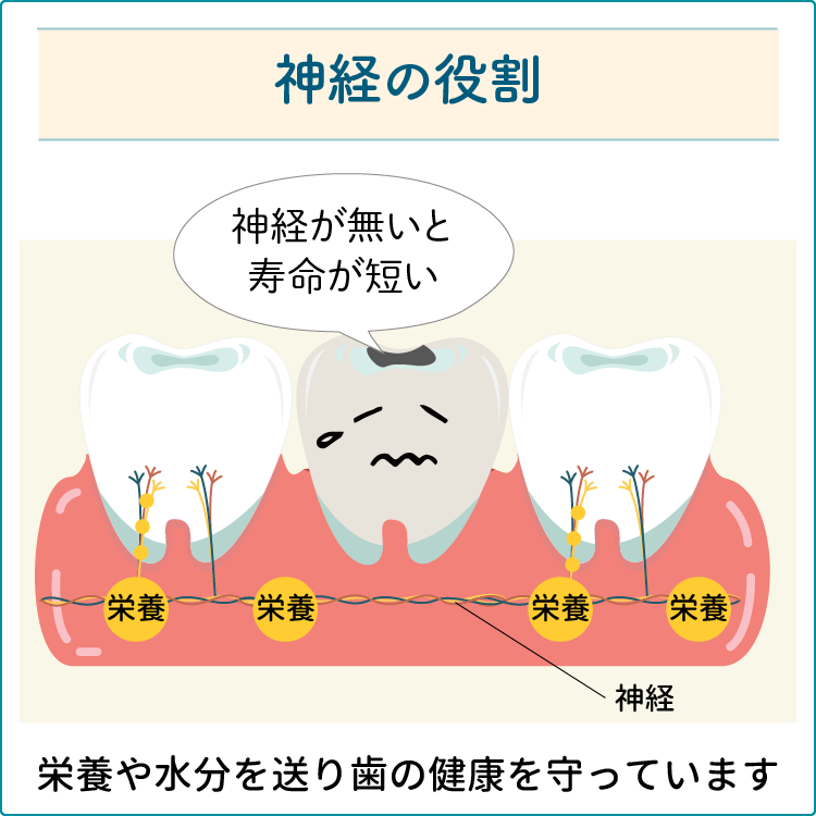 神経を残す重要性